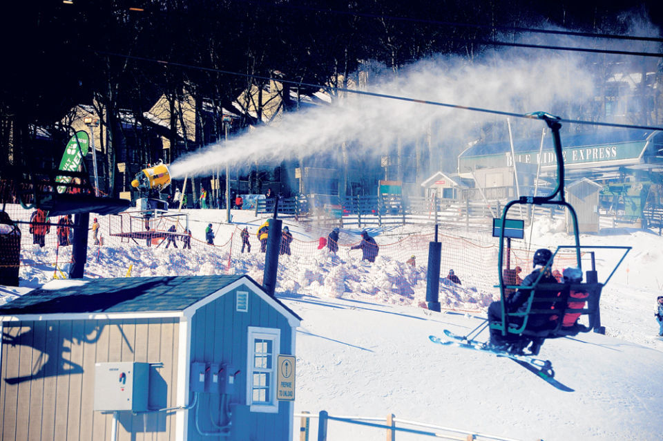 Wintergreen